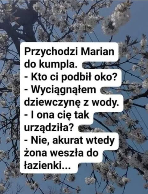 Obrazek