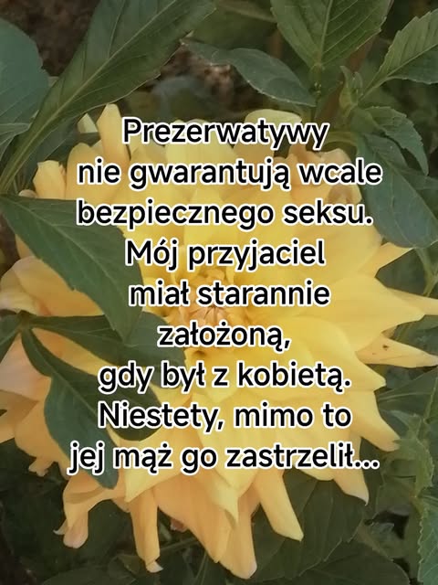 Obrazek